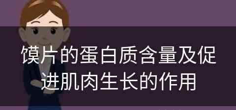 馍片的蛋白质含量及促进肌肉生长的作用